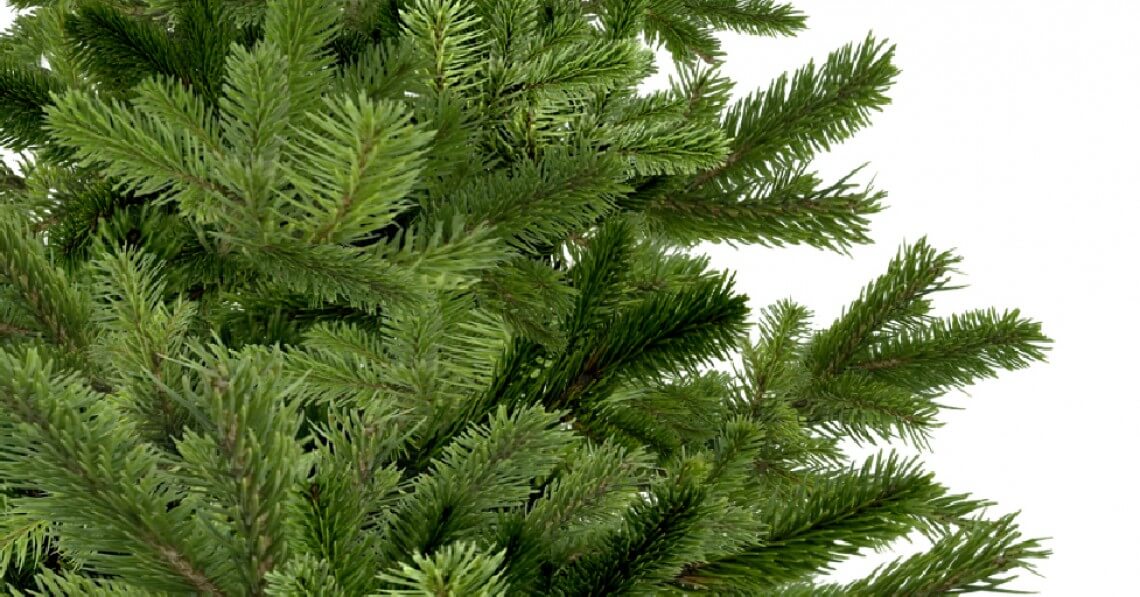 Tree1