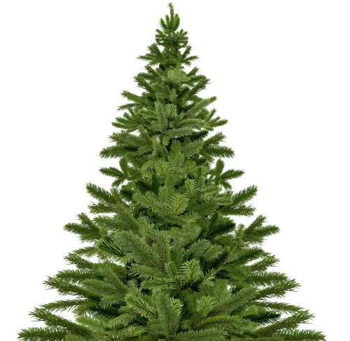 Tree 10